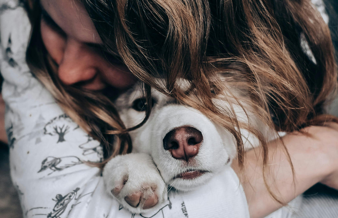 5 Things You’re Doing That Confuse Your Dog (Don’t Worry—They Still Love You)