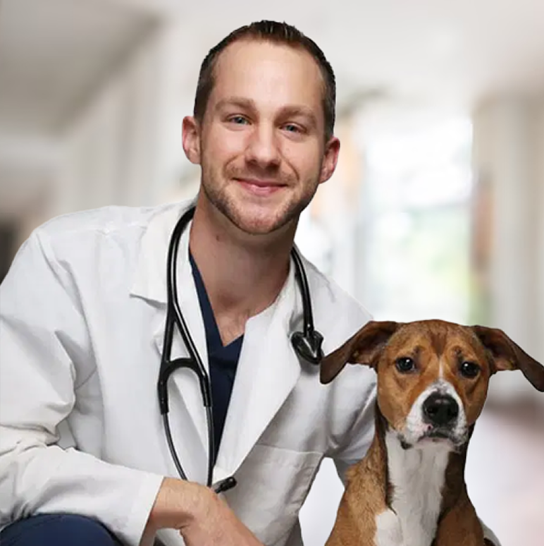 Doctor with dog