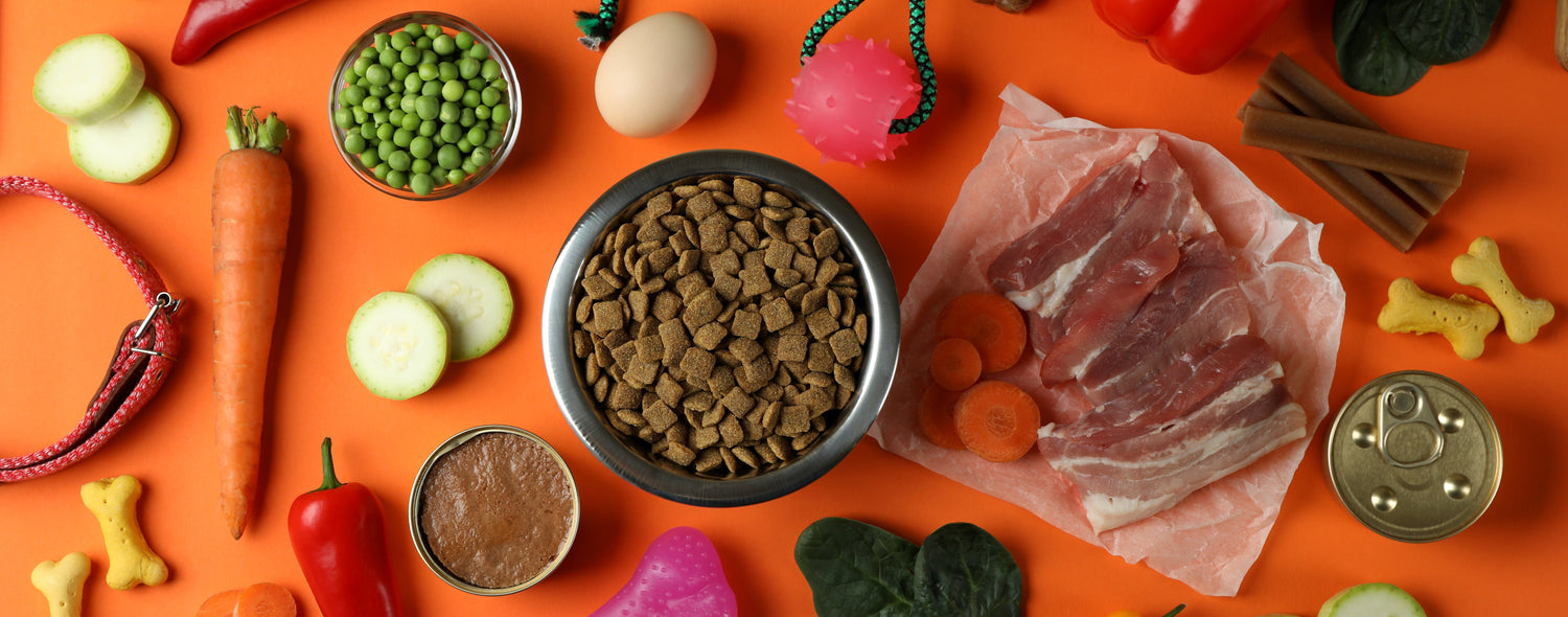 Is "Premium" Dog Food Actually Complete? What the Label Doesn't Tell You