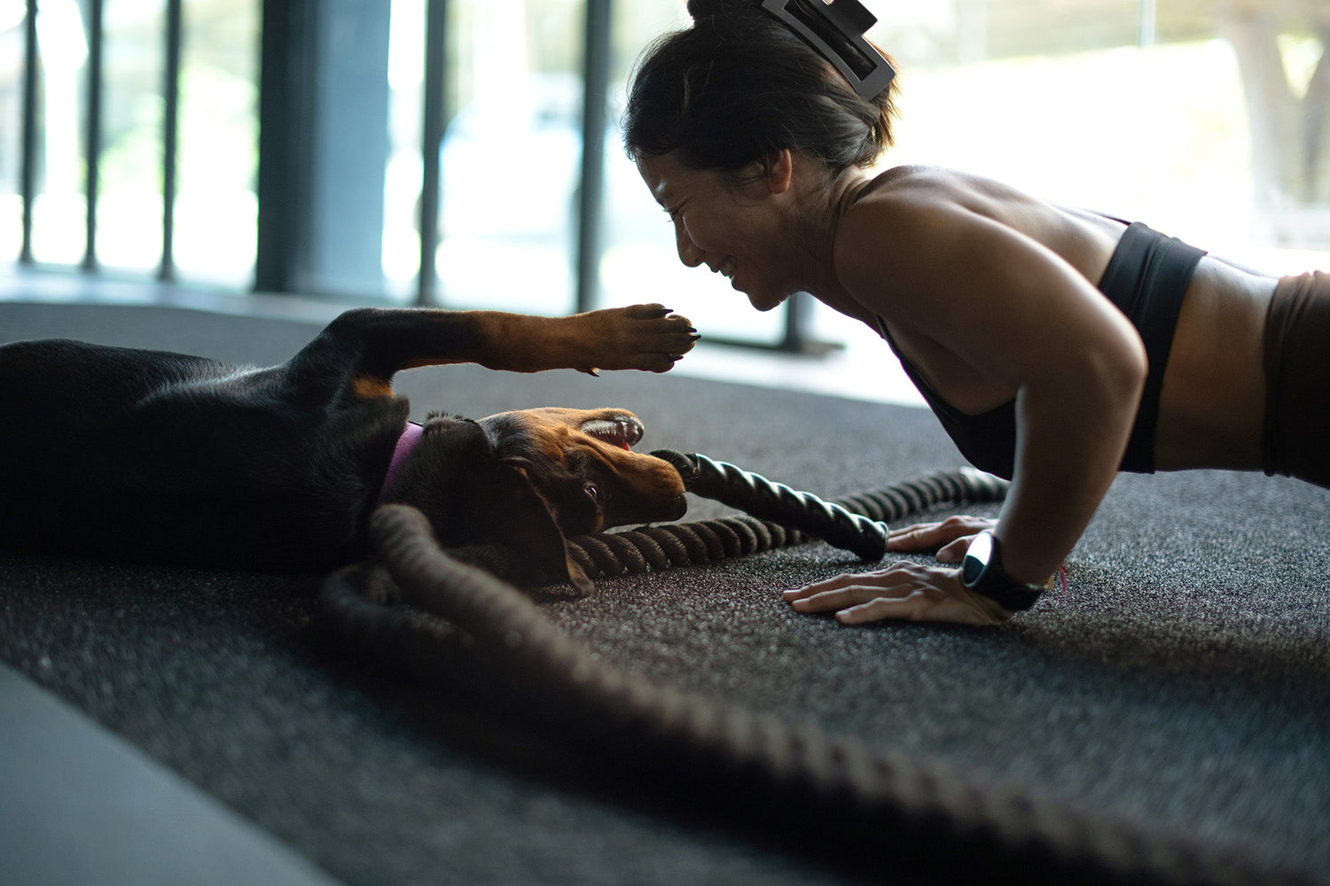 The #1 Predictor of Your Dog's Future Health (It's Not What You Think)