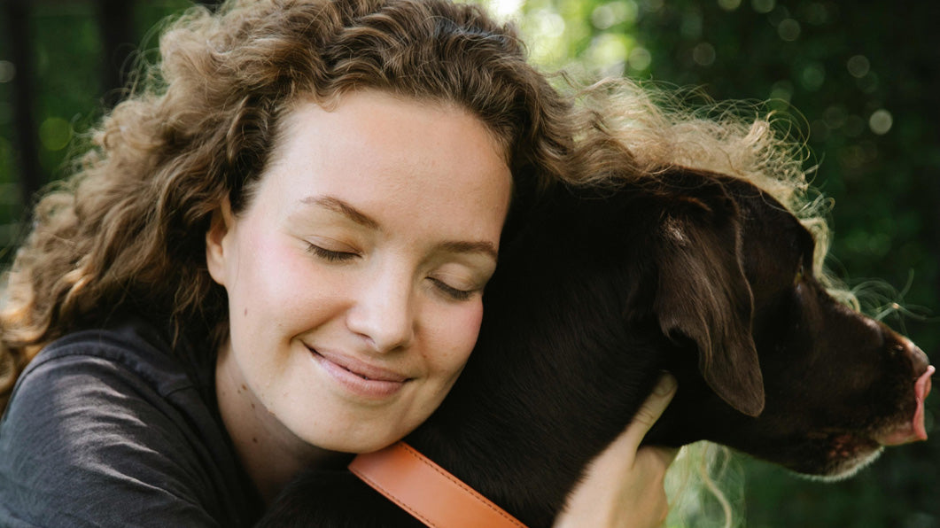 6 Signs Your Dog Completely Trusts You