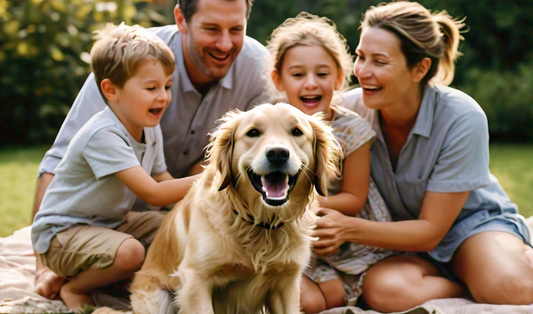 Effective Strategies for Summer Dog Allergy Management
