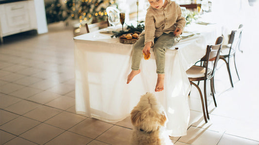 Why January Is My Busiest Month (And How to Prevent Your Dog From Becoming a Statistic)