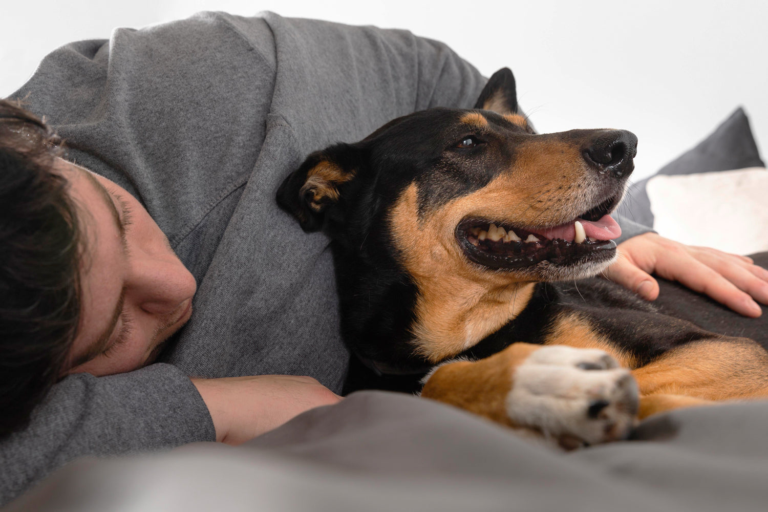 What to Do If Your Dog Won’t Stop Scratching at Night