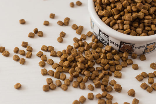 The #1 Nutrient Most Dog Foods Don’t Have Enough Of