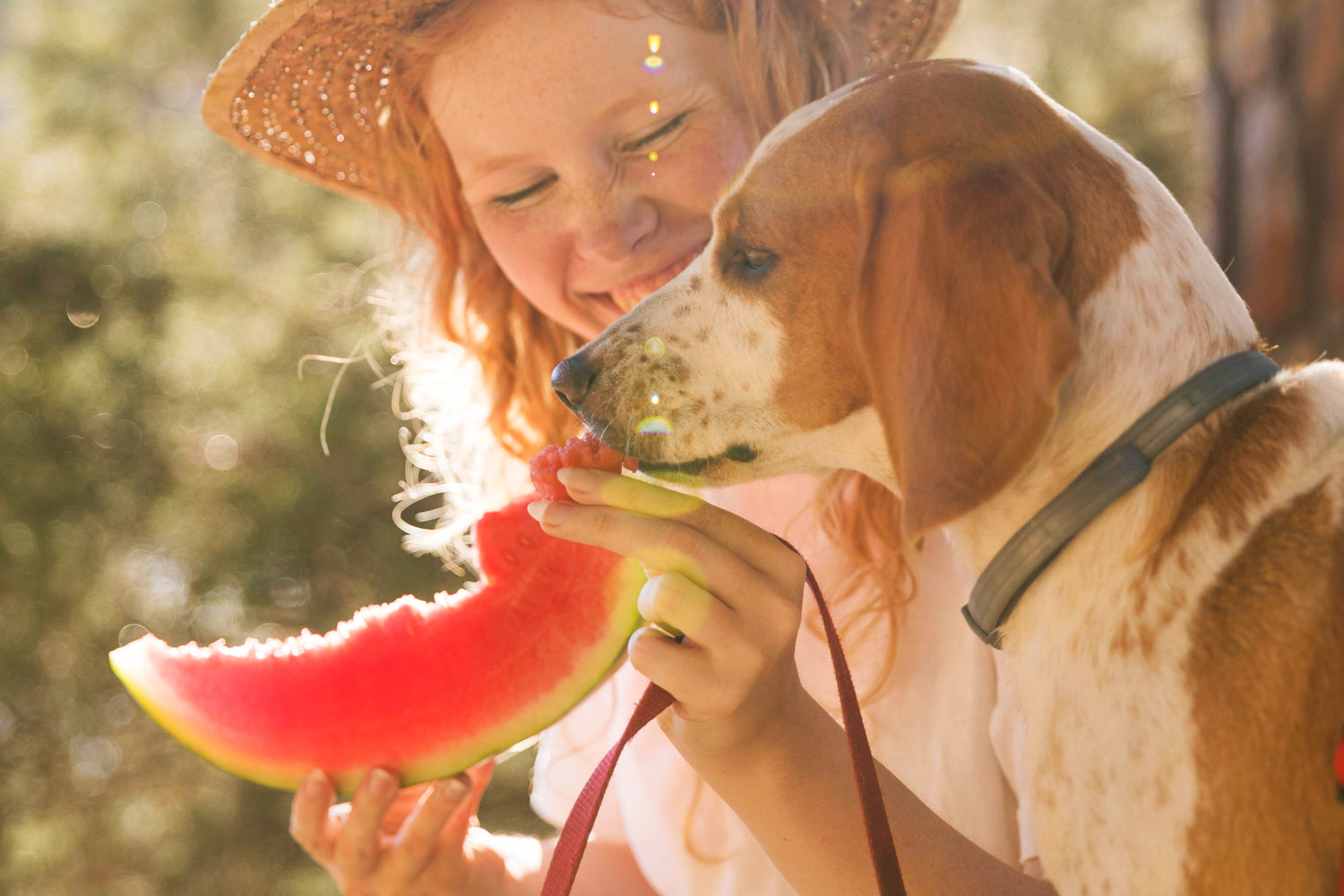 7 Weird But Healthy Foods Your Dog Can Actually Eat