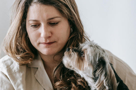 10 Things You’re Doing That Accidentally Stress Out Your Dog