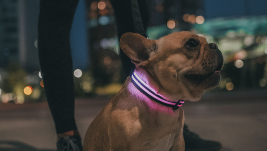 Nighttime Walk Safety When the Sun Sets Early