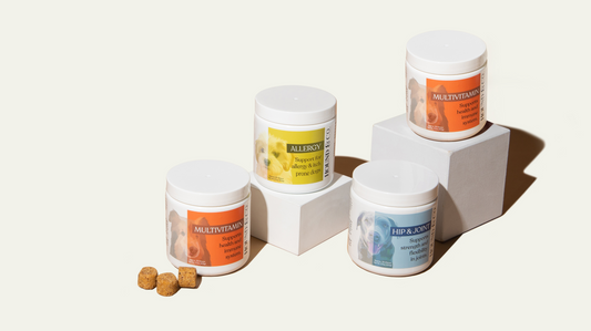 Which Supplement Does Your Dog Actually Need?