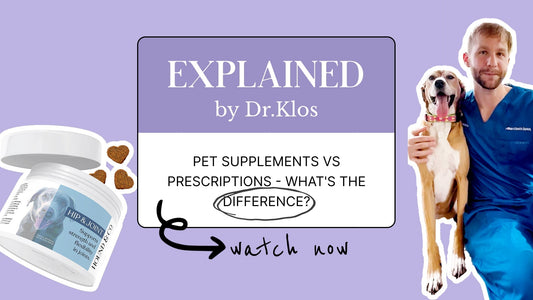 Pet Supplements vs. Prescriptions: What’s the Difference?