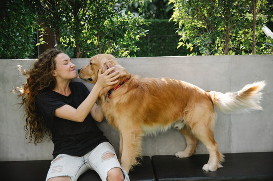 How to Spot Signs of Nutrient Deficiencies in Dogs