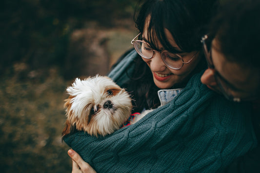 Top 5 Dog Health Tips: Separating Fact from Fiction