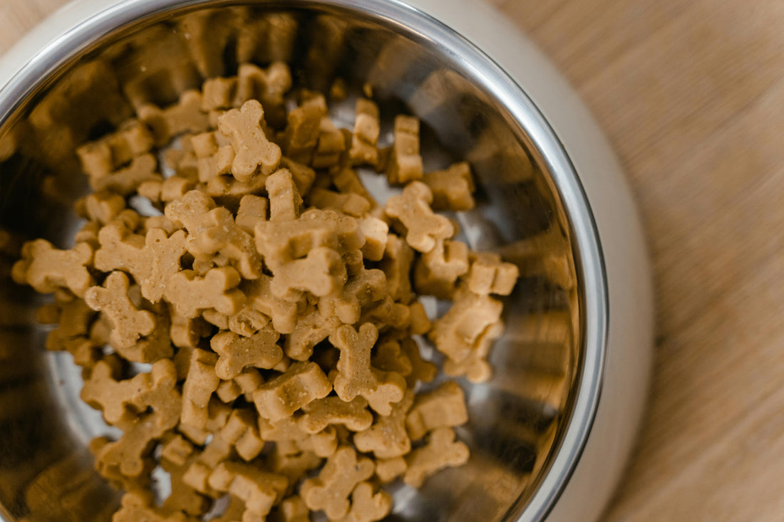 Hidden Nutritional Gaps in Premium Dog Food