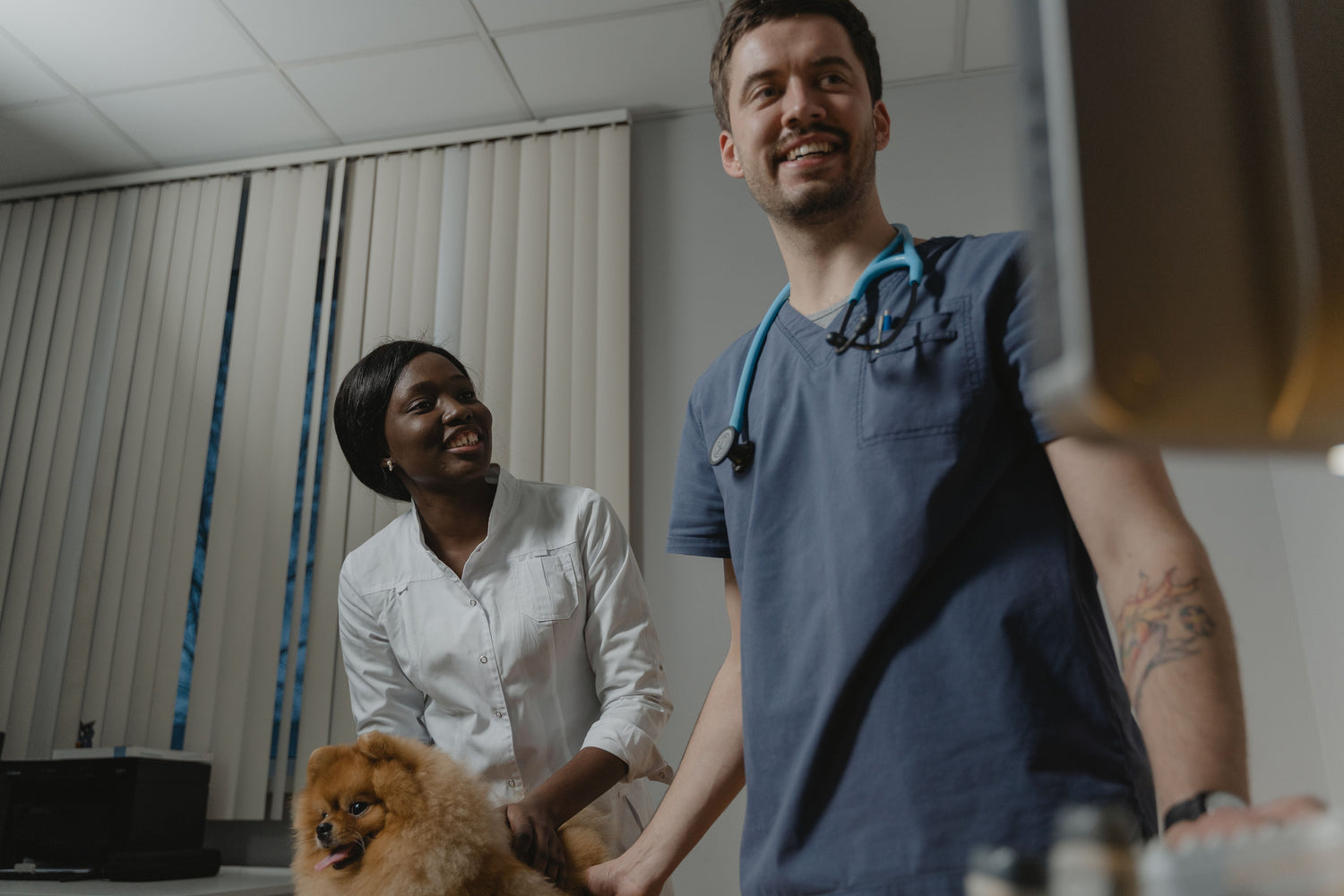 What to Tell Your Vet at the Fall Wellness Visit