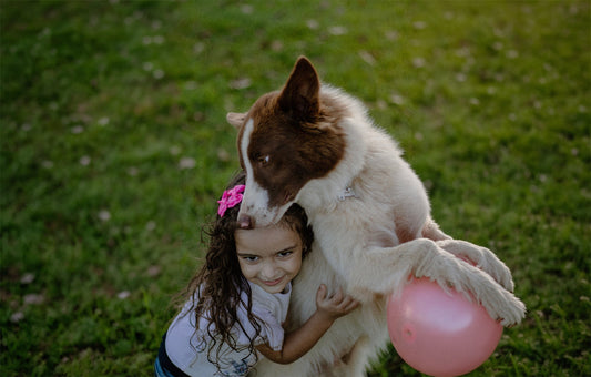 What Back-to-School Season Does to Your Dog