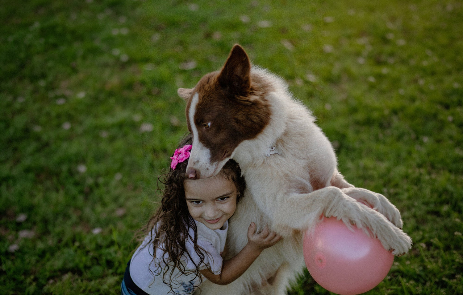 What Back-to-School Season Does to Your Dog