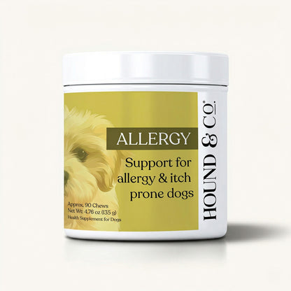 Allergy & Itch