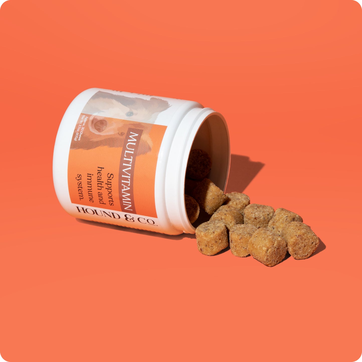 Multivitamin Chews