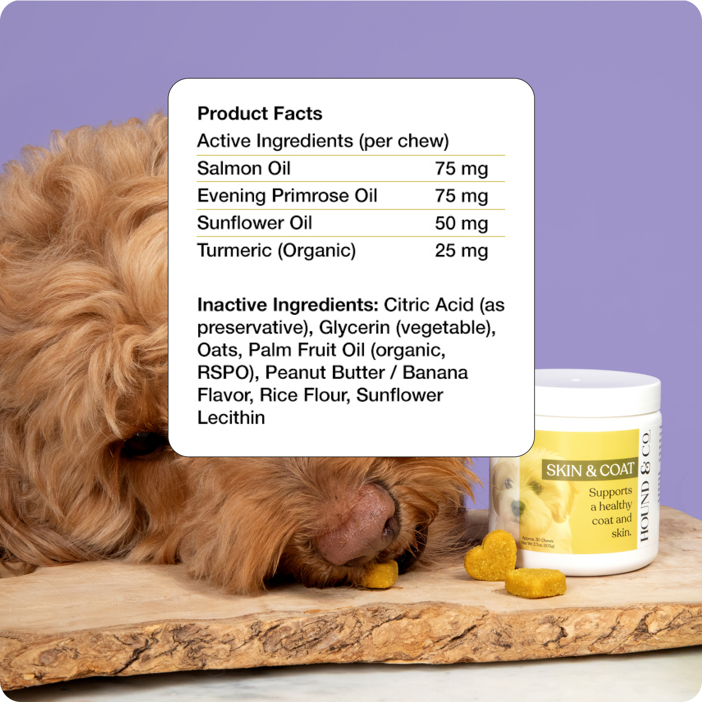 Skin & Coat Allergy Chews