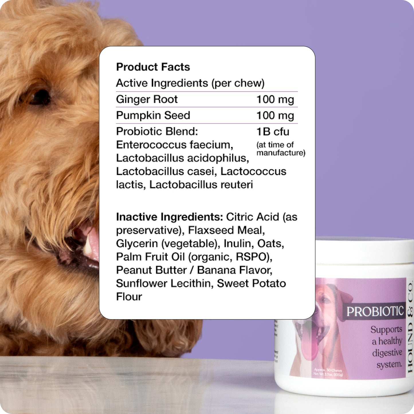 Probiotic Digestion Chews