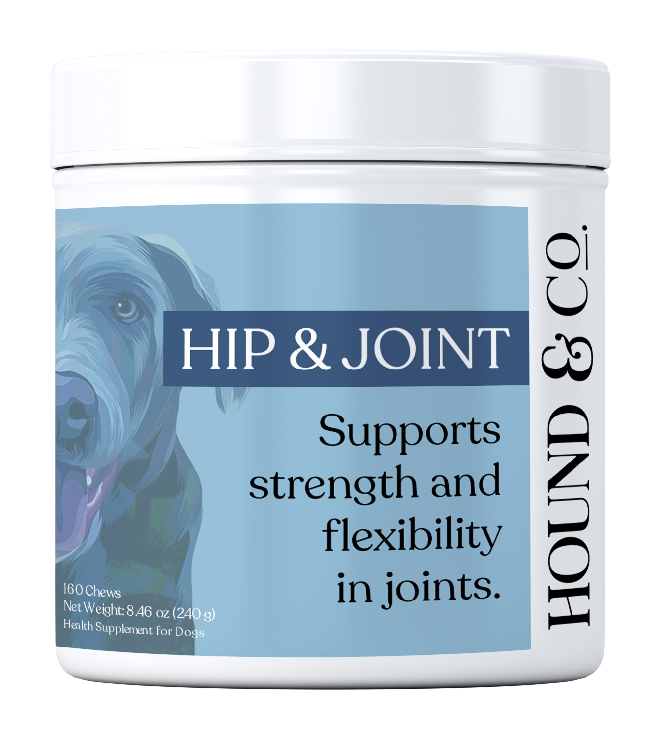 Hip & Joint