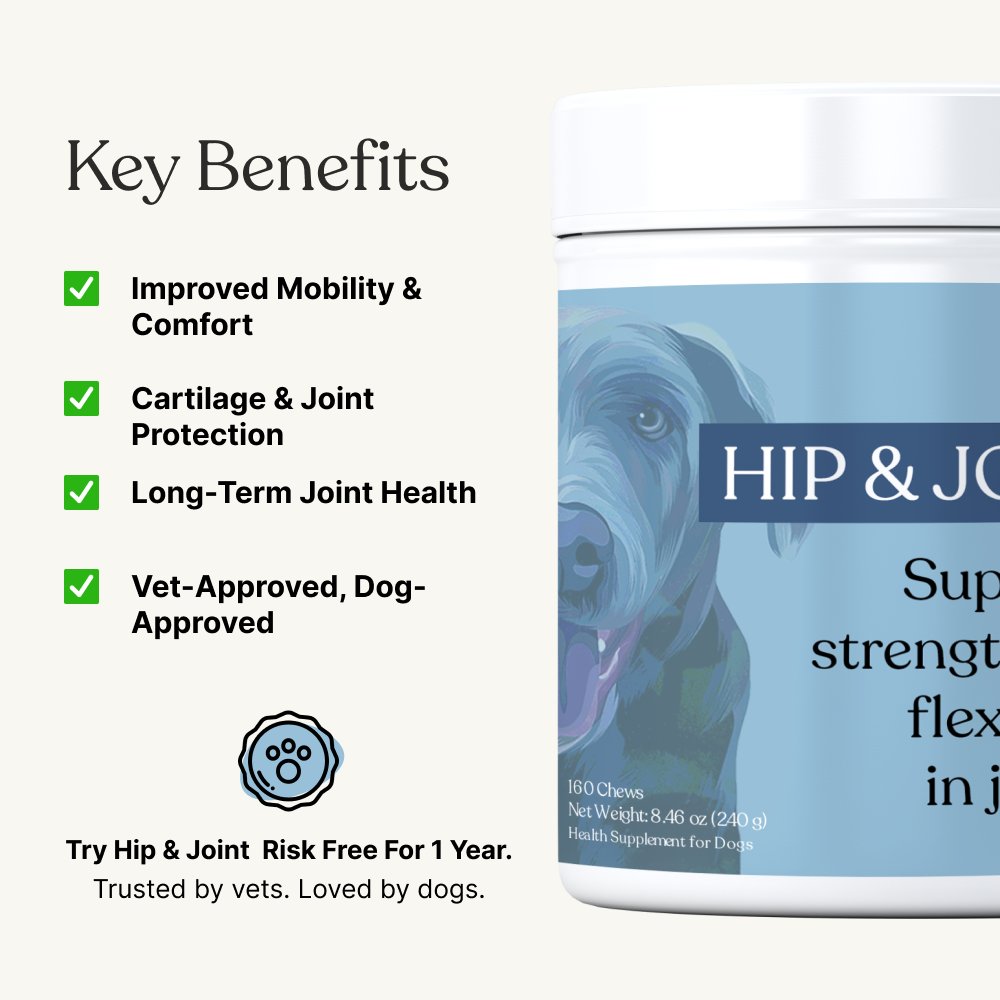 Hip & Joint