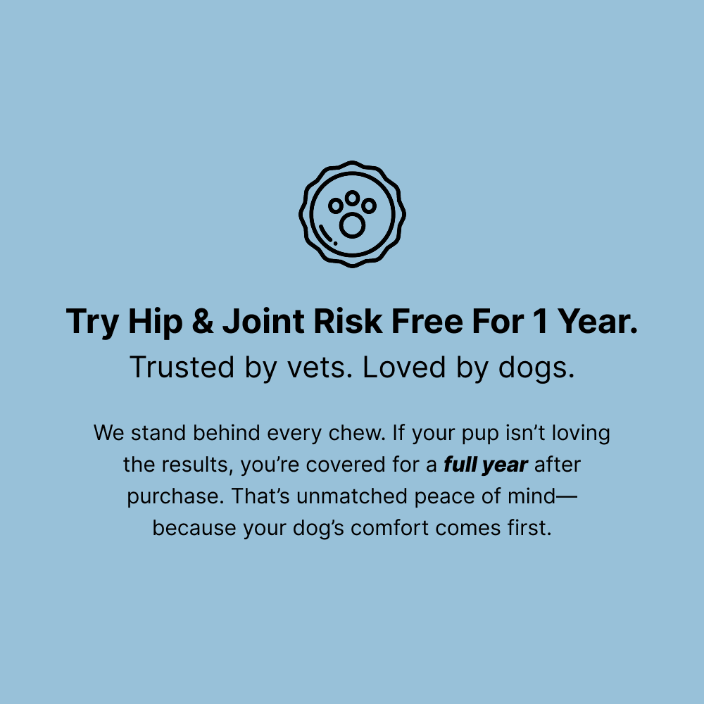 Hip & Joint