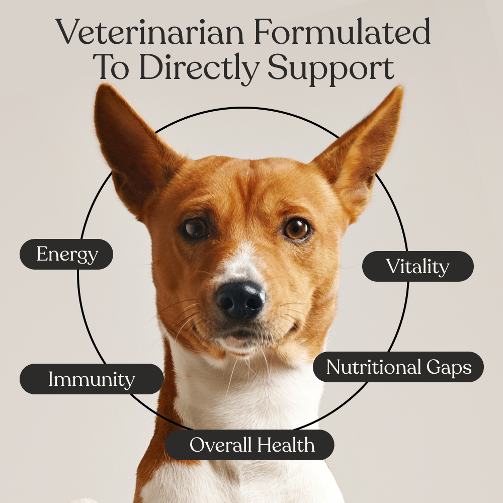 Multivitamin