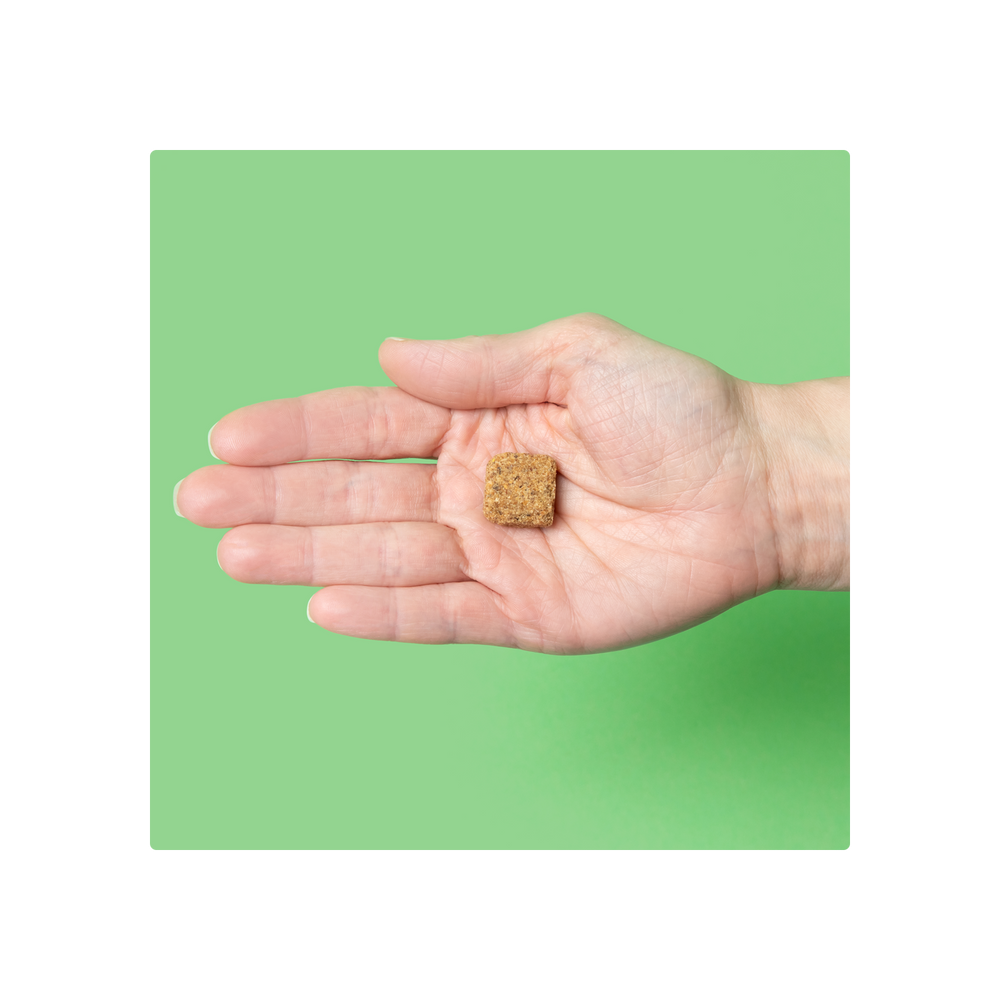 
                  
                    Allergy Bundle
                  
                